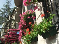 Донација Српске банке